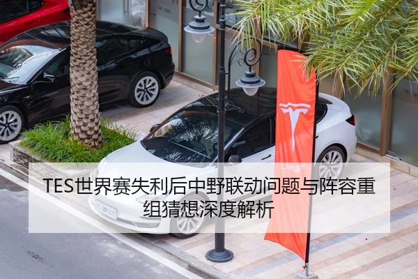 TES世界赛失利后中野联动问题与阵容重组猜想深度解析